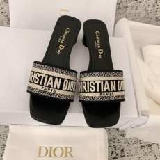 Christian Dior Slippers